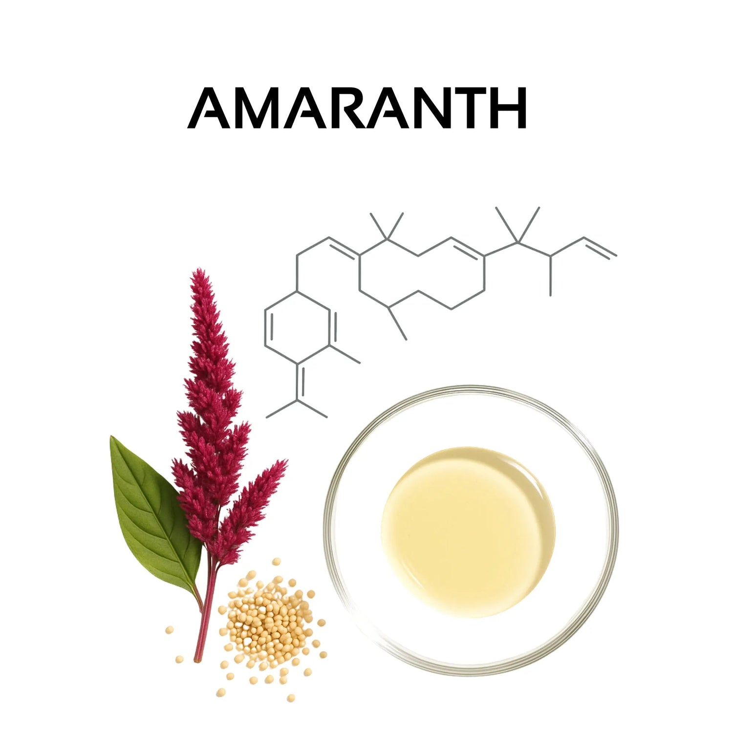 Amaranth Seed Oil: The Biological "Gold Standard" for Scalp Barrier Recovery