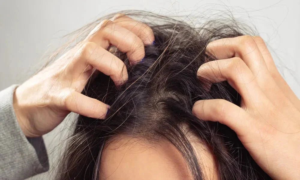 Desorption: The New Science of Dissolving Pollution Buildup on the Indian Scalp - CUERI