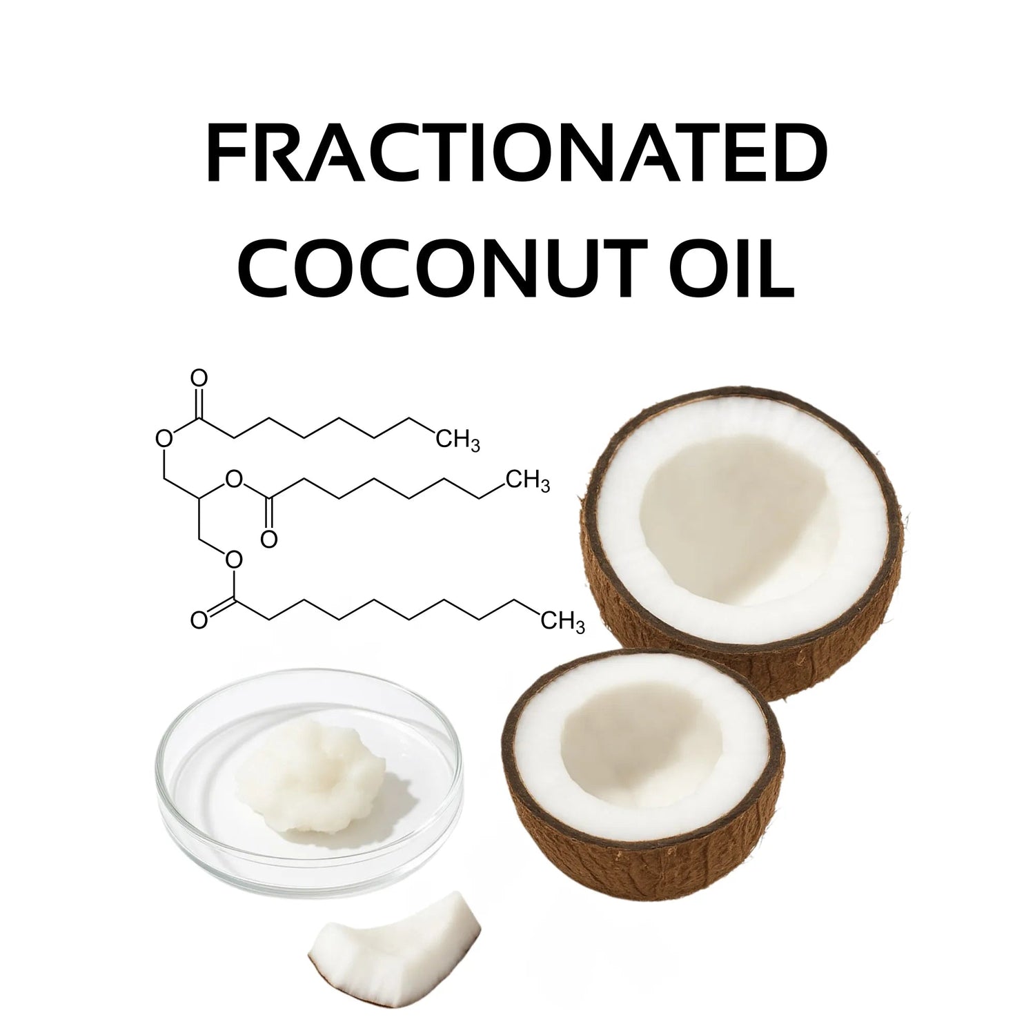 Fractionated Coconut Oil (MCT): The Lightweight Molecular Vehicle for Deep Follicular Penetration