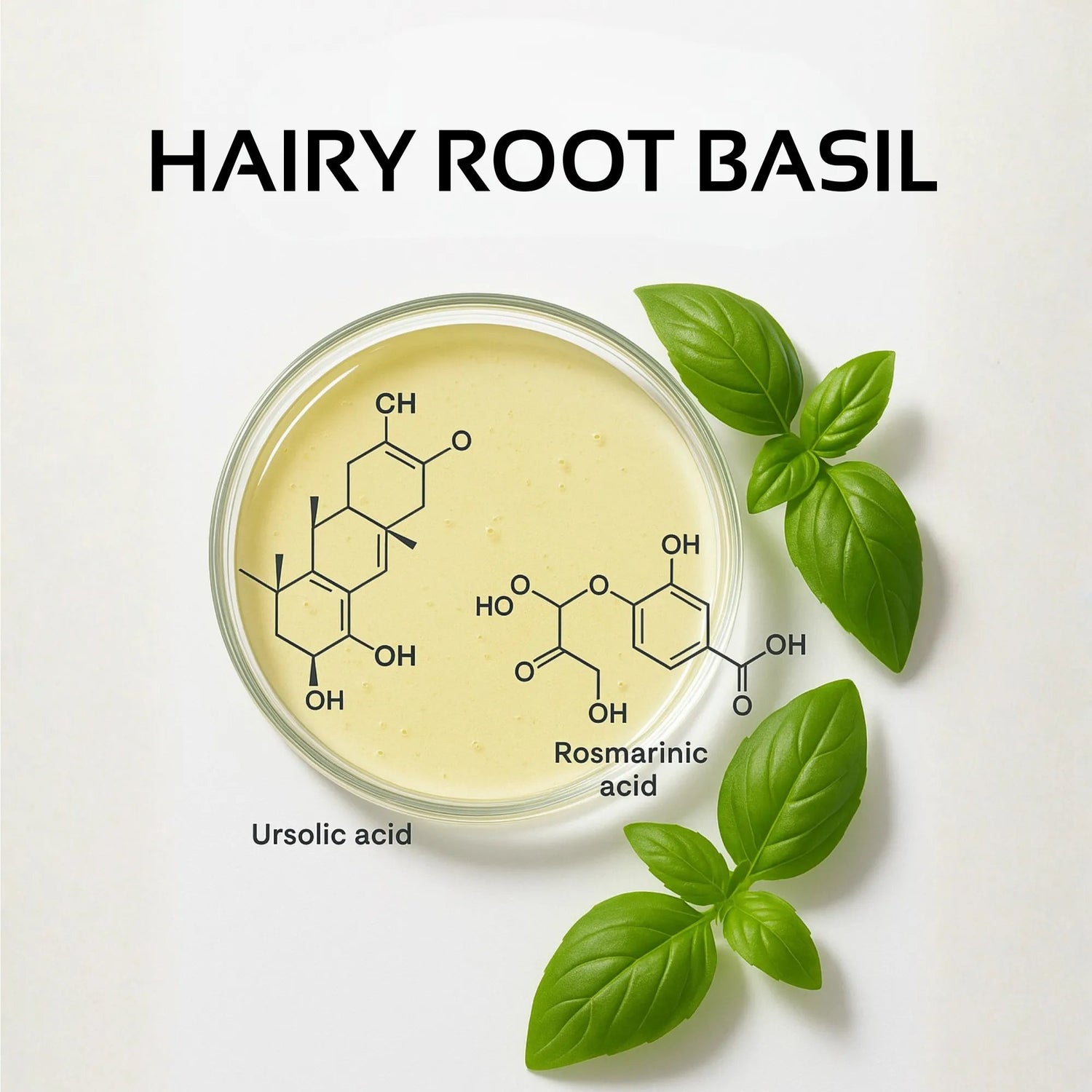 Hair Root Basil Extract Chemical Structure