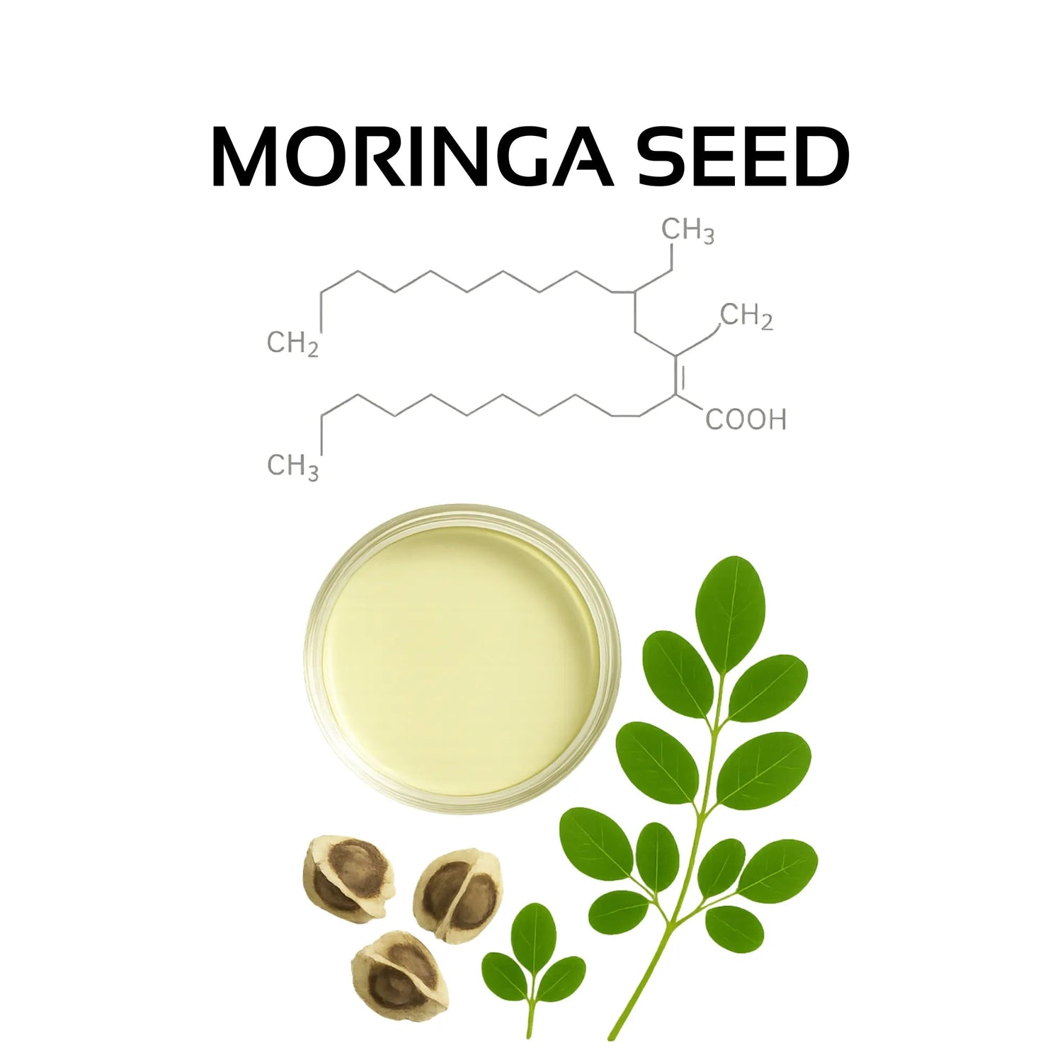 Moringa Oil Chemical Structure