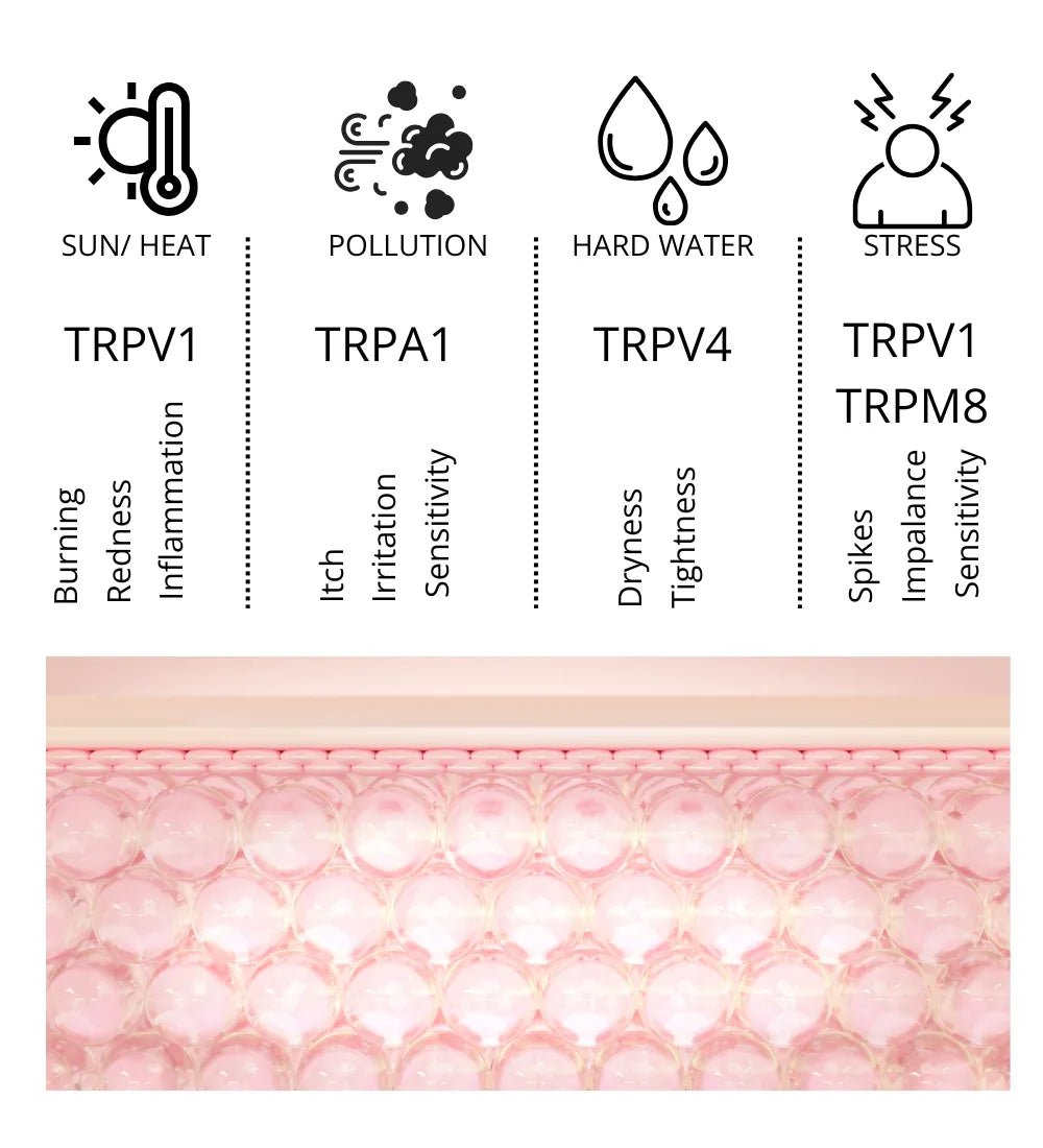 Why India’s Environment Triggers Scalp Itch and Skin Flare-ups