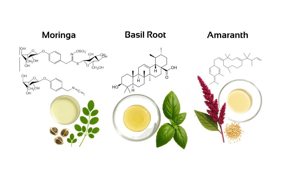 The Scalp Trinity: Why Moringa, Basil Root, and Amaranth are the Future of Hair Biology