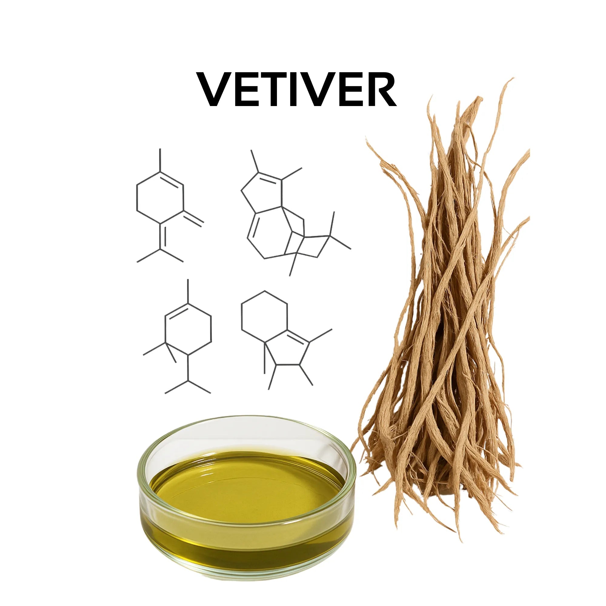 Vetiver Root Oil: The Biological "Coolant" for Sebum Balance and Scalp Calm